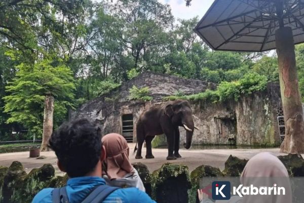 Sebanyak 421.869 Wisatawan Kunjungi Ragunan saat Libur Lebaran