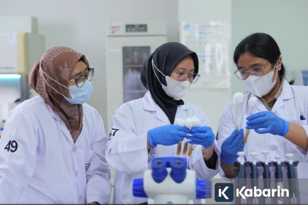 UI Bikin Ragi Tempe “Pintar”, Agar Produksi Stabil di Cuaca Ekstrem