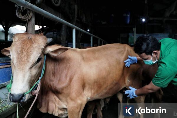 Pemprov DKI Siapkan Kurban Lebih Tertib dan Ramah Lingkungan