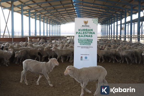 Baznas RI Buka Program Kurban Warga Indonesia untuk Palestina
