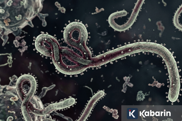 Uganda Larang Berjabat Tangan Karena Khawatir Ebola