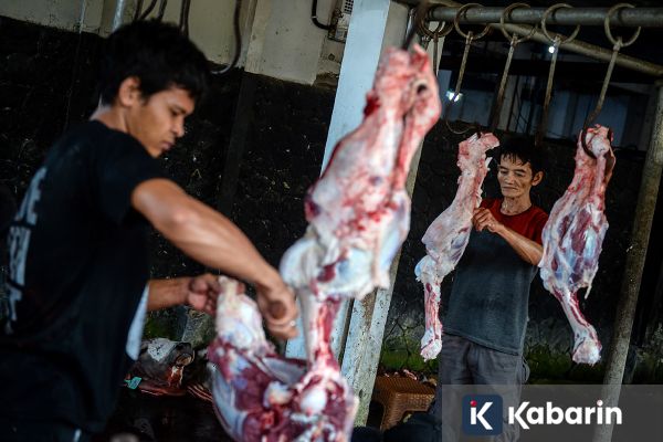 Tips Mencegah Infeksi Kulit Bagi Pemotong Hewan Kurban