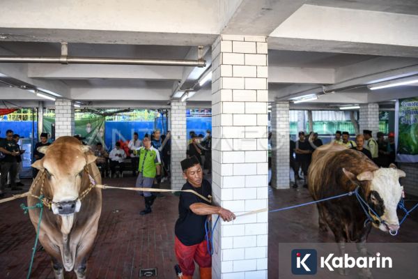 Masjid Istiqlal Siapkan 10.728 Paket Daging Kurban untuk Warga