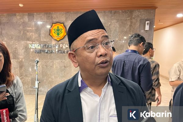 Harga TBS Anjlok, Petani Sawit Minta Pemerintah Percepat Kejelasan DSI