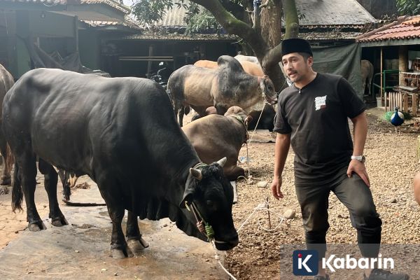 Irfan Hakim Sebut Jumlah Hewan Kurban Tahun Ini Makin Banyak