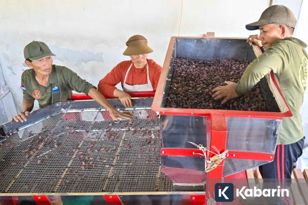 Guru Besar UIN Usulkan Pendidikan Koperasi Masuk Kurikulum Nasional