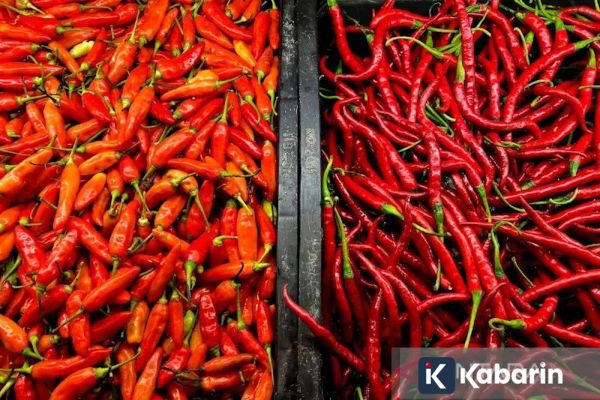 Harga Cabai Rawit Tembus Rp84.400 per Kg, Telur Ayam Rp31.350