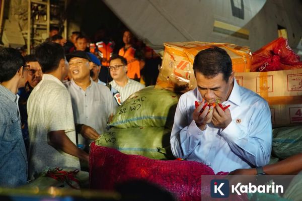 Pemerintah Pastikan Jaga Harga Cabai di Tingkat Petani dan Stabilkan di Konsumen