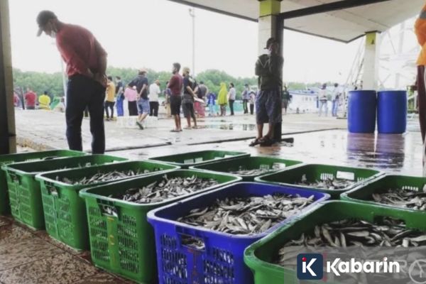 Ekspor Ikan Kaltim ke China Mencapai 56 Ton per Bulan