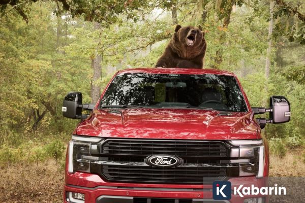 Ford Gunakan Beruang Berbobot 363 Kg untuk Menguji F-150 Platinum
