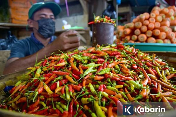 Harga Cabai Rawit Merah Tembus Rp69.750 Per Kg, Telur Ayam Ras Rp29.750