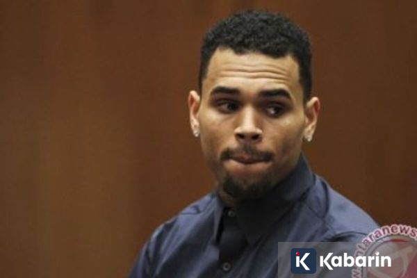 Chris Brown Divonis Bersalah dalam Kasus Serangan Anjing