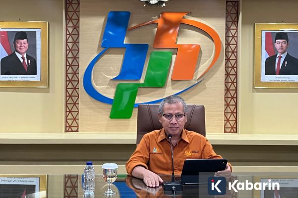 BPS Prediksi Panen Padi dan Produksi Beras Naik pada Juni hingga Agustus 2026