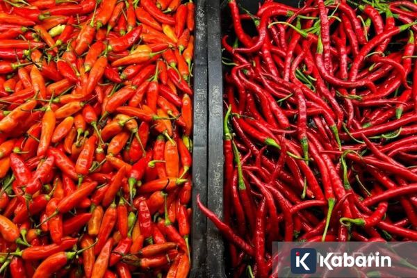 Harga Pangan Hari Ini: Cabai Rawit Rp57.250/Kg, Telur Ayam Rp28.600/Kg