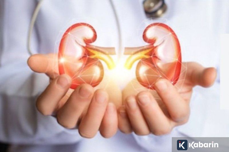 Lenovo Sebut Hybrid AI Jadi Standar Baru Dunia Bisnis