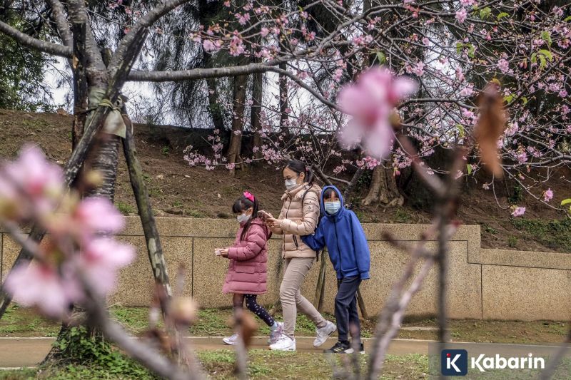 Matheus Cunha Bisa Disanksi FA Akibat Selebrasi Golnya Lawan Arsenal