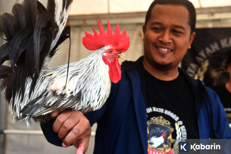 330 ribu orang di Jakarta masih nganggur menurut BPS