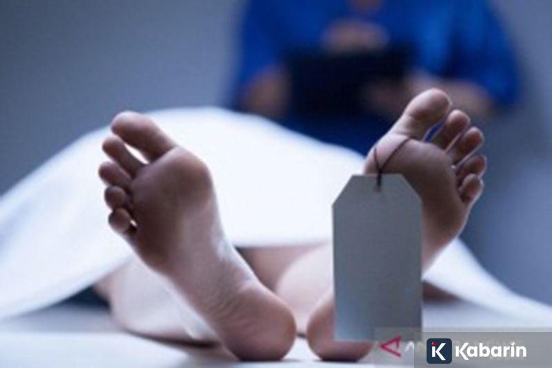 IOS 27 Bakal Bikin Kamera iPhone Lebih Canggih