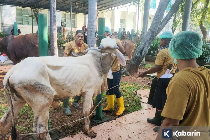 Sel Surya Transparan Ini Bisa Ubah Gedung Jadi Pembangkit Energi