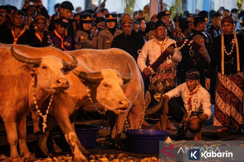 Males ke luar kota? Coba taman-taman kota di Jakarta buat lepas penat