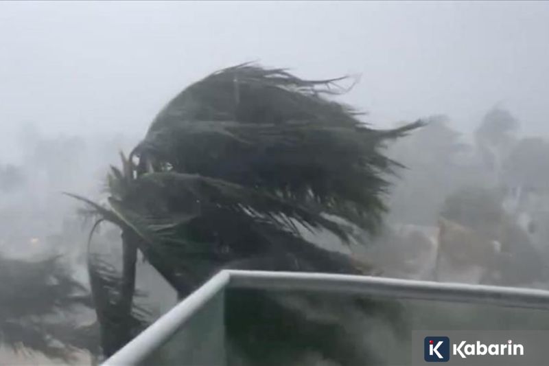 Indonesia dan Jepang kompak kuatkan pengelolaan hutan mangrove