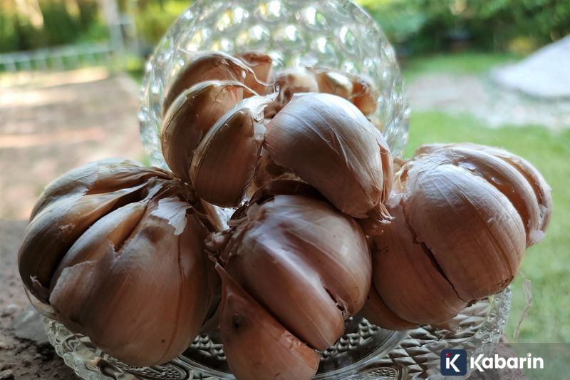 Ekstra bawang putih ternyata bisa jadi obat kumur alami anti kuman