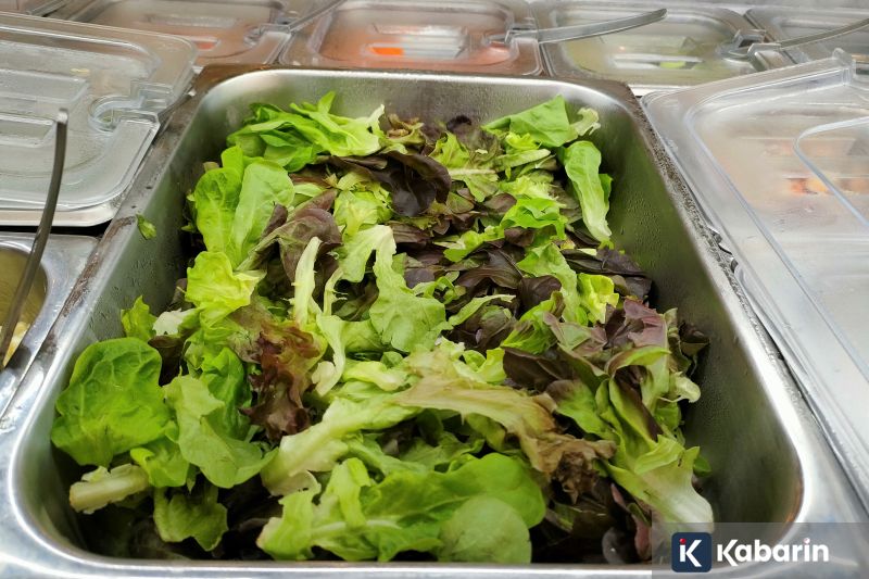 132 peserta dilatih untuk cegah kekerasan di sekolah: Langkah baru Kemendikdasmen