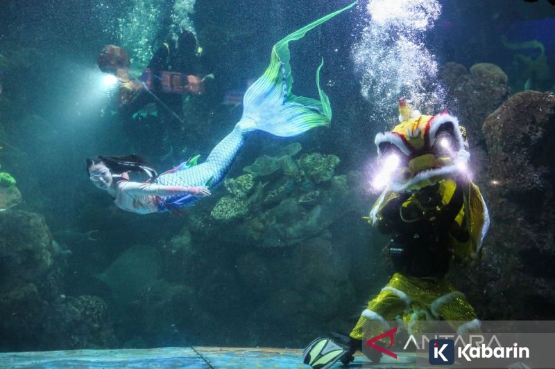 Resep dan Cara Buat Asinan Salak untuk Camilan Segar di Rumah