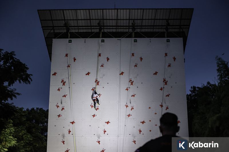 Resep tumis enoki telur saus tiram yang praktis dan bikin nagih untuk bekal