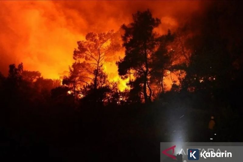 KTM tarik kembali motor produksi 2024 karena tutup tangki bermasalah