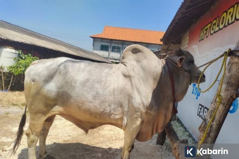 Jangan remehkan, ini 10 bahan pangan super yang bisa tingkatkan imun