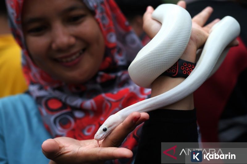 Pedagang se-Jakarta kompak tolak aturan baru Raperda kawasan tanpa rokok