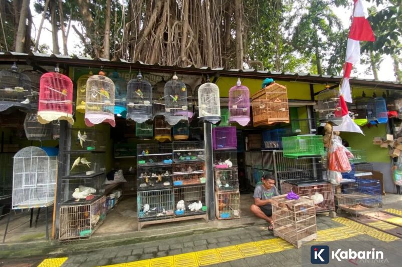 Evakuasi di Ponpes Al Khoziny, 19 jenazah berhasil ditemukan tim Basarnas
