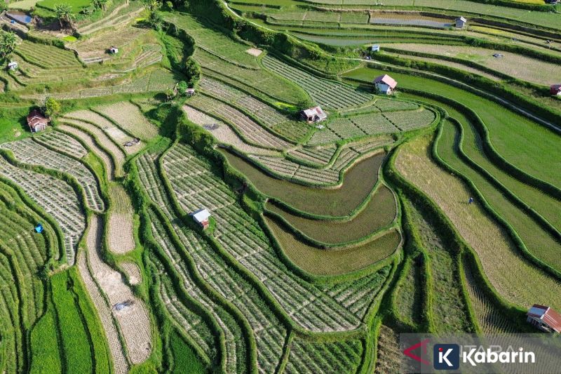 Rybakina Gasak Mertens Dua Set, Melaju Mulus ke Perempat Final AO