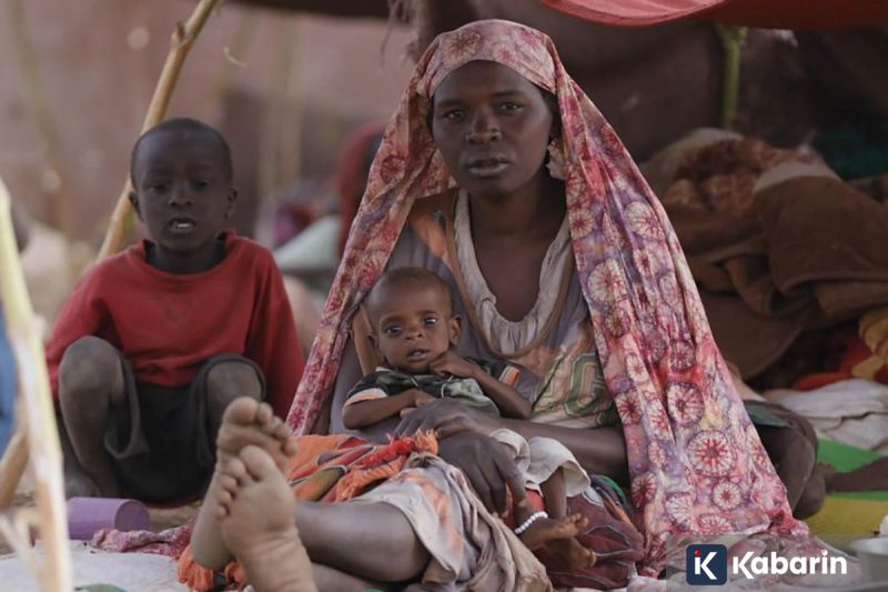 Banteng Watusi Jadi Kado Tahun Baru 2026 bagi Pengunjung Ragunan