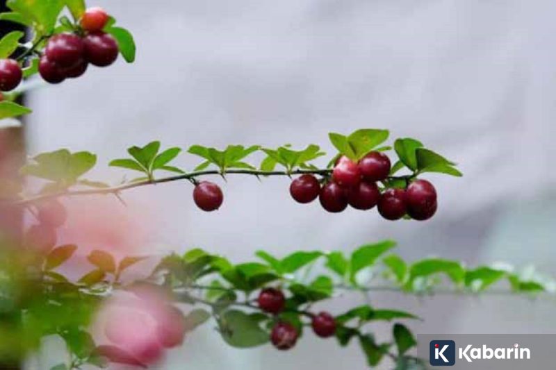 Destinasi Estetik di Bekasi Makin Digemari Gen Z