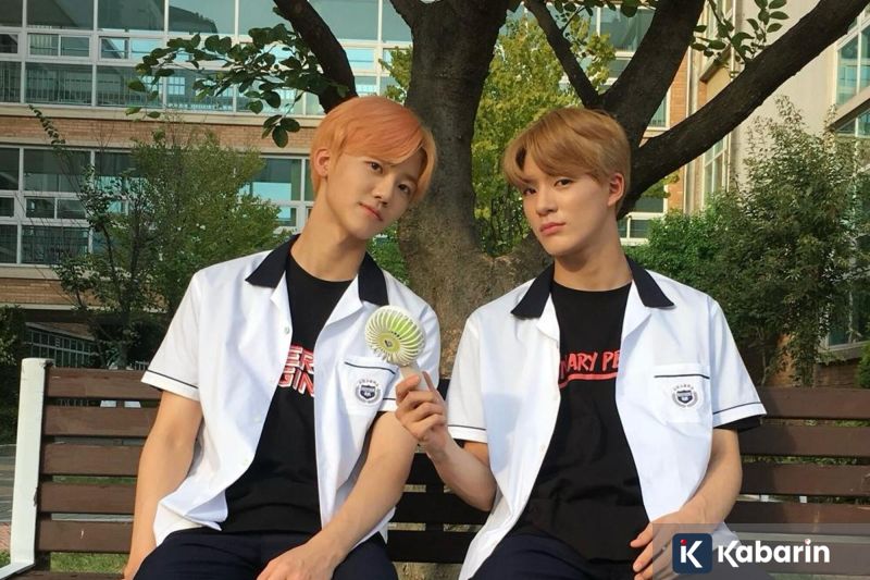 Raffaele Palladino resmi jadi pelatih baru Atalanta