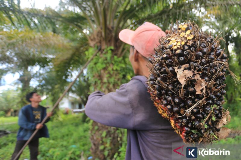 BPKN sarankan blending etanol ke BBM diuji coba dulu