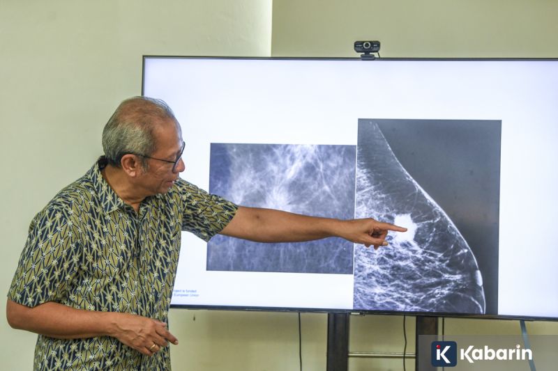 Efisiensi anggaran DKI tak boleh ganggu transportasi publik