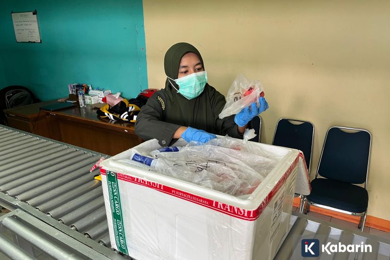 Ribka Haluk ditugaskan jadi komite eksekutif percepatan pembangunan Papua