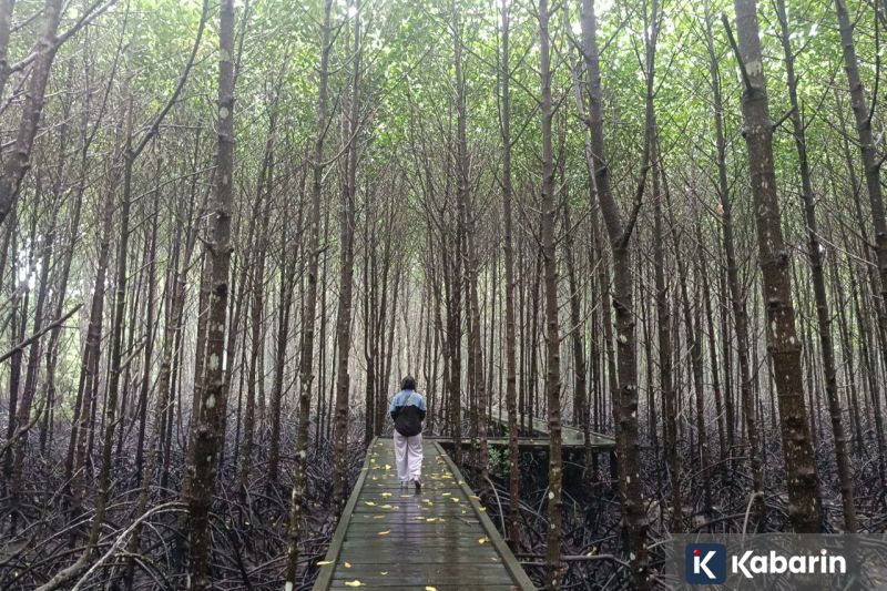 RUU Perampasan Aset Buka Peluang Sita Aset Tanpa Vonis Pengadilan