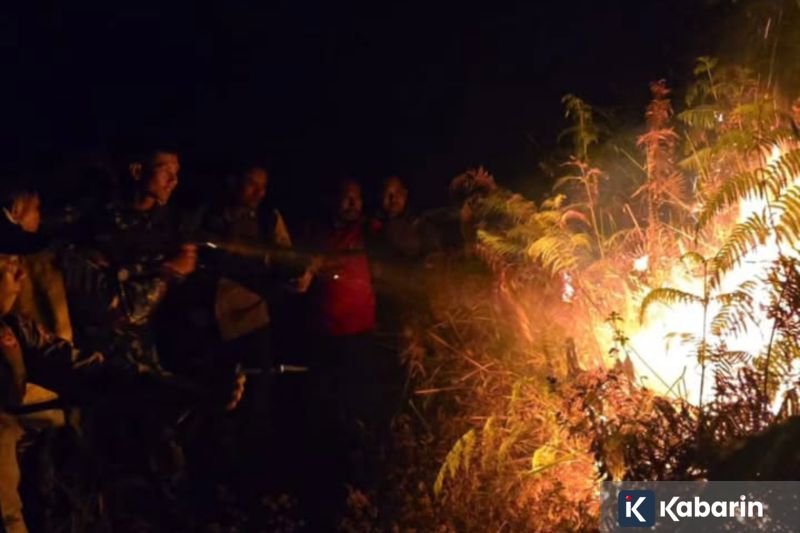 43 pekerja asing di klub malam Jakut terancam dideportasi karena izin tinggal