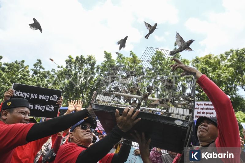 Arne slot yakin Liverpool masih punya rasa percaya diri meski terpuruk