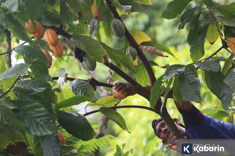 Britney Spears hapus Instagram di tengah drama dengan mantan suami