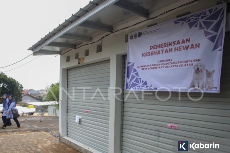 Kevin THE BOYZ bakal rehat sementara gara-gara masalah kesehatan