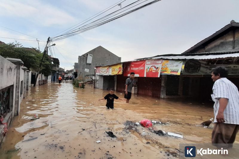 Canva hadirkan Affinity, desainer pemula oke, profesional pun oke