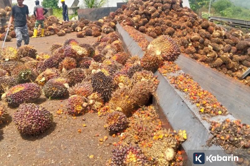 Britney Spears hapus Instagram di tengah drama dengan mantan suami