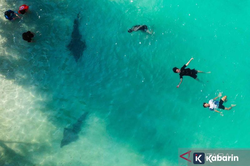 Chelsea kalahkan Cardiff City 3-1 dan berhak lolos ke Piala Liga