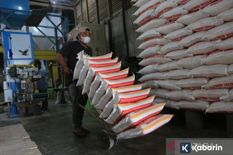 132 peserta dilatih untuk cegah kekerasan di sekolah: Langkah baru Kemendikdasmen