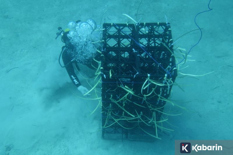 Liam Gallagher akan berhenti minum, merokok, dan menghisap ganja demi Oasis